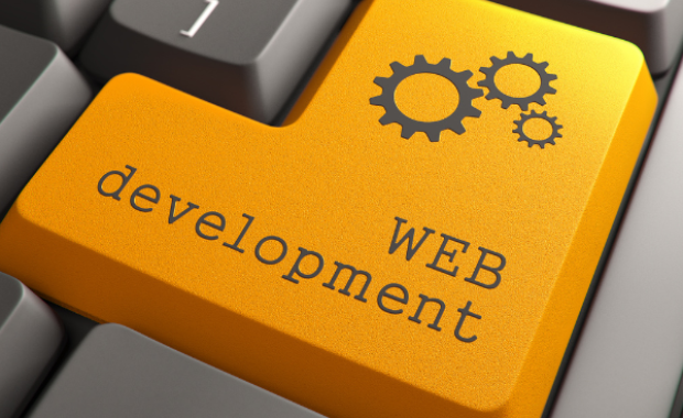 Elevating Your Business with Professional Web Development Services in Dubai